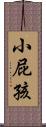 小屁孩 Scroll