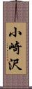 小崎沢 Scroll