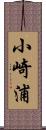 小崎浦 Scroll