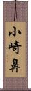 小崎鼻 Scroll