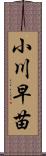 小川早苗 Scroll