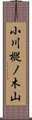 小川樅ノ木山 Scroll