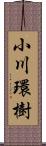 小川環樹 Scroll