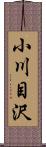 小川目沢 Scroll