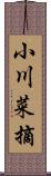 小川菜摘 Scroll