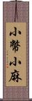 小幣;小麻 Scroll