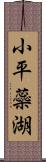 小平蘂湖 Scroll