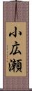 小広瀬 Scroll