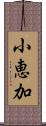 小恵加 Scroll