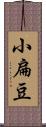 小扁豆 Scroll