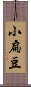 小扁豆 Scroll