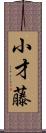 小才藤 Scroll