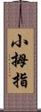 小拇指 Scroll