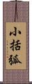 小括弧 Scroll