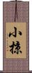 小掠 Scroll