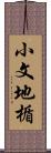 小文地楯 Scroll