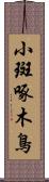 小斑啄木鳥 Scroll