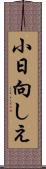 小日向しえ Scroll