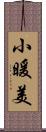小暖美 Scroll