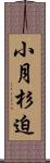 小月杉迫 Scroll
