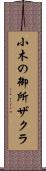 小木の御所ザクラ Scroll