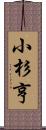 小杉亨 Scroll