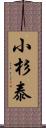 小杉泰 Scroll