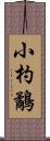 小杓鷸 Scroll