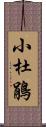 小杜鵑 Scroll