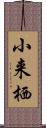 小来栖 Scroll