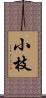 小枝 Scroll