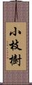 小枝樹 Scroll