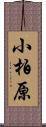 小柏原 Scroll