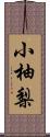 小柚梨 Scroll