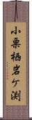 小栗栖岩ケ渕 Scroll