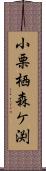 小栗栖森ケ渕 Scroll