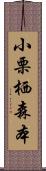 小栗栖森本 Scroll