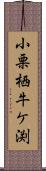 小栗栖牛ケ渕 Scroll