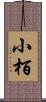 小栢 Scroll