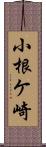 小根ケ崎 Scroll