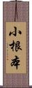 小根本 Scroll