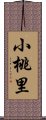 小桃里 Scroll