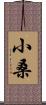 小桑 Scroll