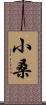 小桑 Scroll