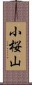 小桜山 Scroll