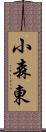 小森東 Scroll