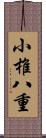 小椎八重 Scroll