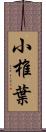 小椎葉 Scroll