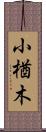 小楢木 Scroll