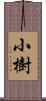 小樹 Scroll